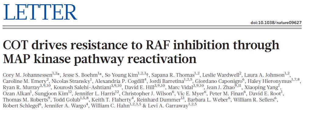 BRAF inhibitor: linear pathways anyway?