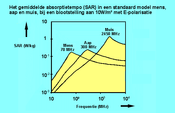 SAR (2) Was ik maar een muis!