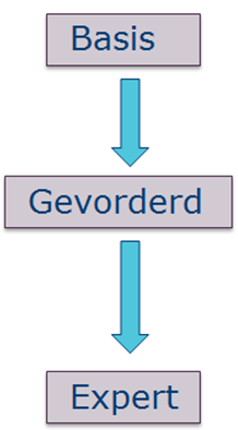 ELEKTROMECHANICA: GROEILIJNEN Eerste fase: Brede onderbouw Vanaf tweede fase: