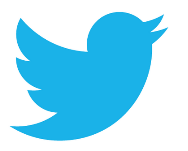 Het logo van Twitter is daarom een klein vogeltje: Iedere twitteraar kan op elk moment van de dag in maximaal 140 tekens vertellen waar hij/zij mee bezig is, wat hij/zij van plan is of wat hem/haar