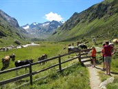 Gezinsvakanties / Europa / Oostenrijk Code 103102 R groepsreis Niveau Accommodatie Waardering Oostenrijk - Stubaital, Travelkids, 8 dagen Actief Alpen avontuur langs pieken en gletsjers 12+,