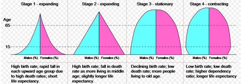 Het demografisch transitiemodel (Figuur 2.5) is onderverdeeld in vijf fases.
