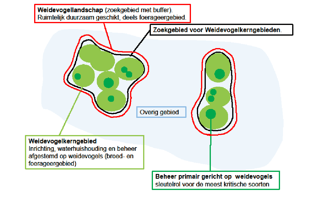 Beknopte samenvatting kerngebiedenbenadering Kerngebiedenbenadering grutto Figuur 1 Het terugtrekken van de grutto in kerngebieden (1990 2010) en de zoekgebiedenkaart voor toekomstige