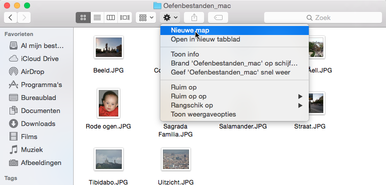 Aanvullend PDF-bestand Picasa op de Mac 7 Sleep naar De bestanden staan nu in de juiste mappen. 1.