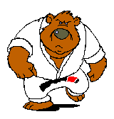 Hallo karate-kids, Mijn naam is Kees Nieuwenhuizen. Samen met Senpai Rob Molenaar (1 ste Dan) geef ik les in karateschool Keishikai te Veenendaal. Ik train al 31 jaar karate.