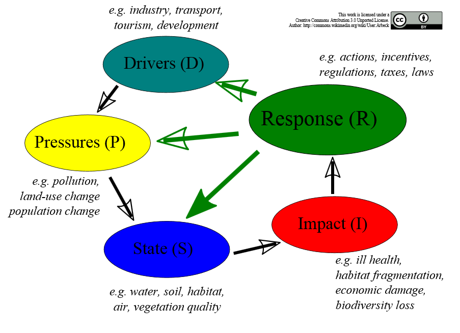 DPSIR factsheets / WKP Op waterlichaam niveau moeten drivers, pressures en impacts