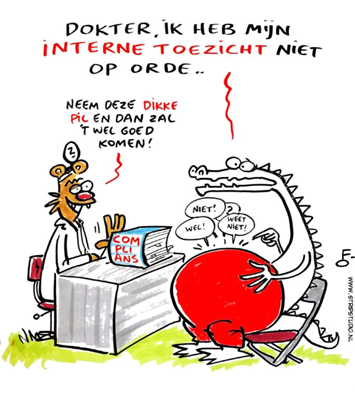 HEAD Handreiking Control Framework - juni 2015 Bouwstenen Inrichting control framework 1. Externe omgeving 2. Interne omgeving 3. Risicoanalyse 4. Inrichten beheermodel 5. Monitoring 1.