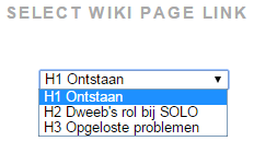 Hoofdstukken aanmaken Om extra pagina s toe te voegen om bijvoorbeeld hoofdstukken te maken, drukt u op Create Wiki Page. Let op!