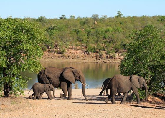 Naam: ZUID - AFRIKA apartheid en het Krugerpark Zuid-Afrika is één van de mooiste vakantielanden ter wereld. Het wordt vaak De wereld in één land genoemd.