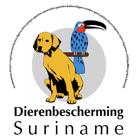 Nieuwsbrief Stichting Vrienden van de Dierenbescherming Suriname februari 2011 Goede start van 2011 Het jaar 2011 is voor de dierenbescherming in Suriname goed gestart.