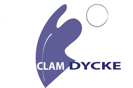 Volleybalvereniging Clam Dycke Nieuwsbrief 18 december 2015 De laatste weken van 2015 zijn aangebroken. Zo ook de laatste wedstrijden van het seizoen en dus tijd om een balans op te gaan maken.