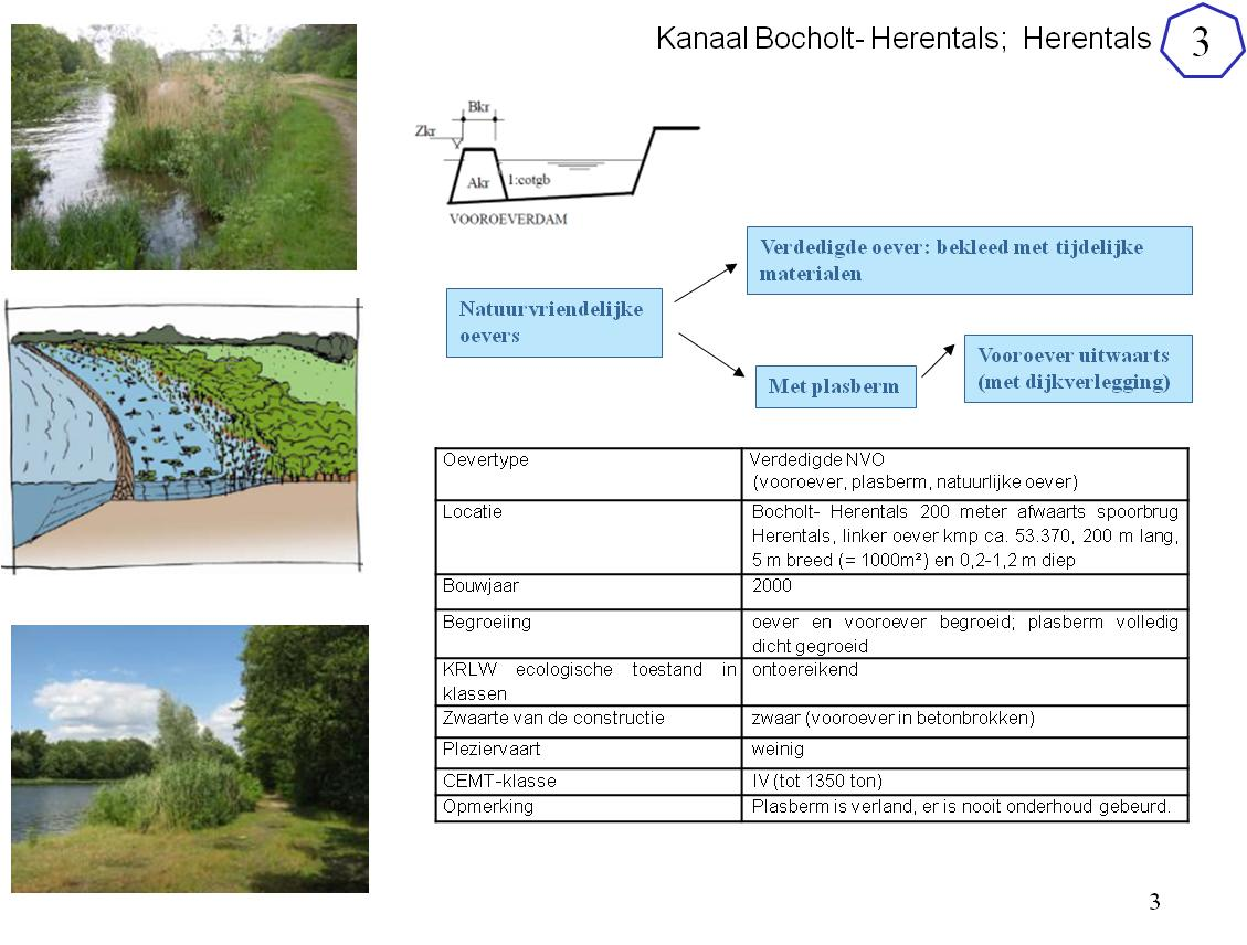 5.3. Een NVO met plasberm: Bocholt Herentals - Spoorburg 5.3.1. Beschrijving van de case Deze natuurvriendelijke oever met plasberm bevindt zich in Herentals, 200 meter afwaarts de spoorbrug.