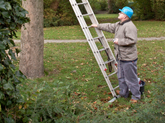 Aart en Joop onderhouden de nestkasten in het parkje: In het voorjaar zijn een tiental bomen gekapt in het parkje tussen de Vivaldiweg en de Bachlaan.