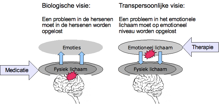 Een transpersoonlijke visie Alles wat we doen, of we nu lezen of schrijven, fietsen of vrijen, wordt in de hersenen gereflecteerd maar het is niet zo dat deze hersenactiviteit ons handelen