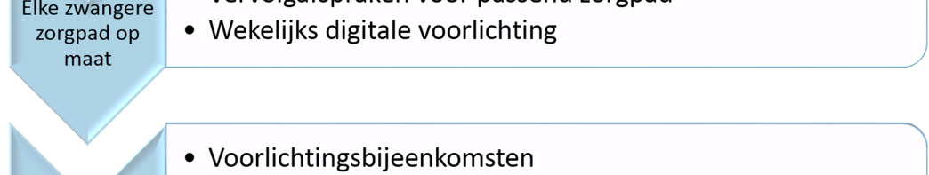 Pagina 5 De werkgroep heeft zich gebogen over de organisatie van de intake in relatie tot de counseling voor prenatale screening en de termijnecho.