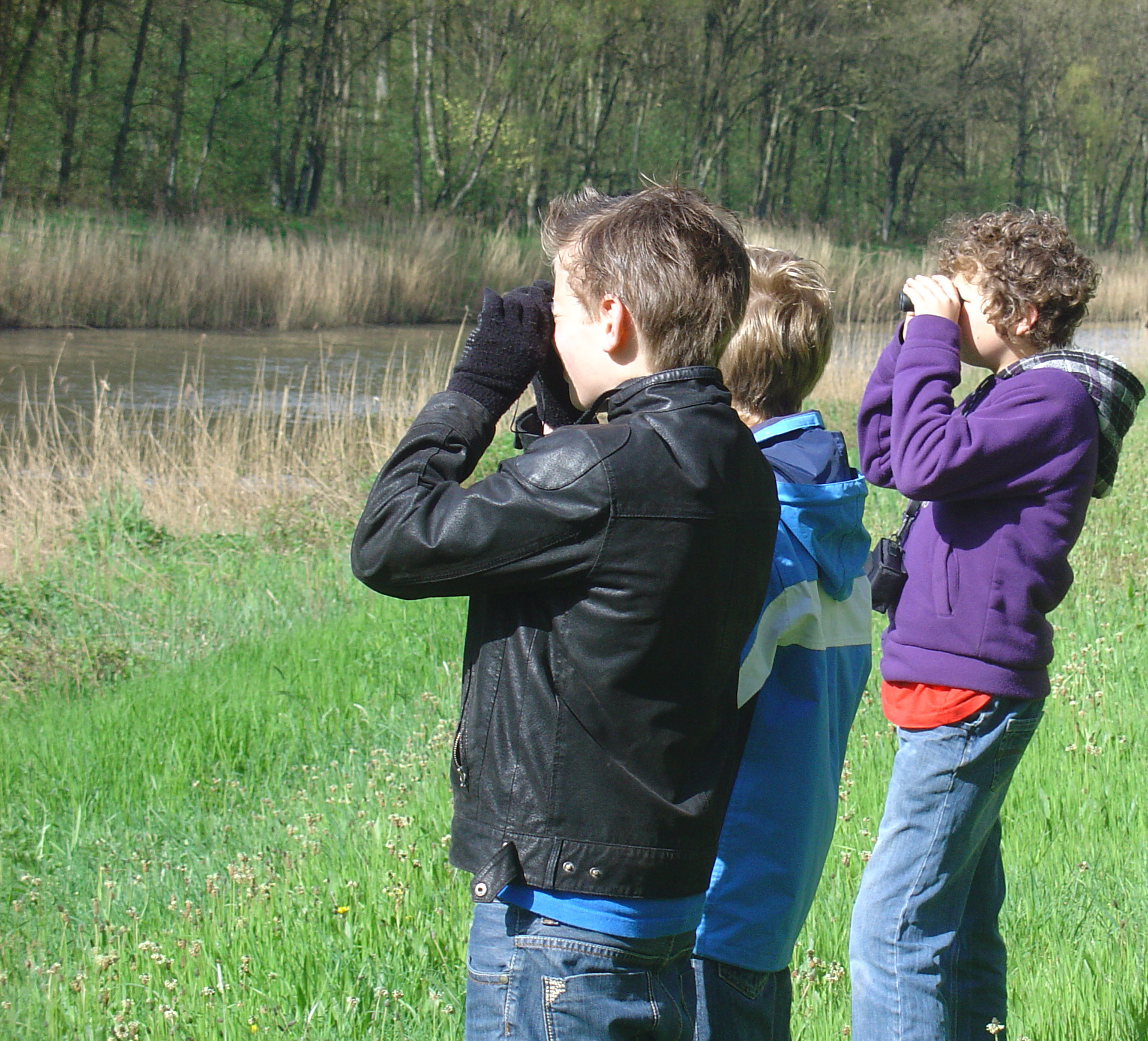 NME- leerroute Vogels