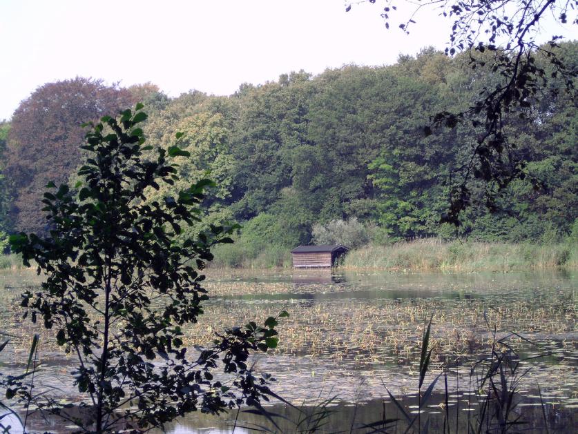 2. Het feit dat ieder NSW-gerangschikt landgoed nog steeds aan de Gemeentewet (artikel 220d, eerste lid, onderdeel d) getoetst moet worden. Wij zijn van mening dat deze (2 de ) toets ongewenst is.