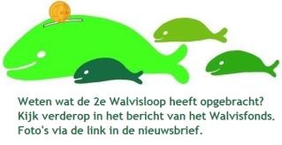 Nieuwsbrief voor de ouders van RK basisschool De Walvis jaargang 16, nummer 5 vrijdag 8 november 2013 Beste ouders, Alle kinderen en alle groepen werken momenteel gestaag door.