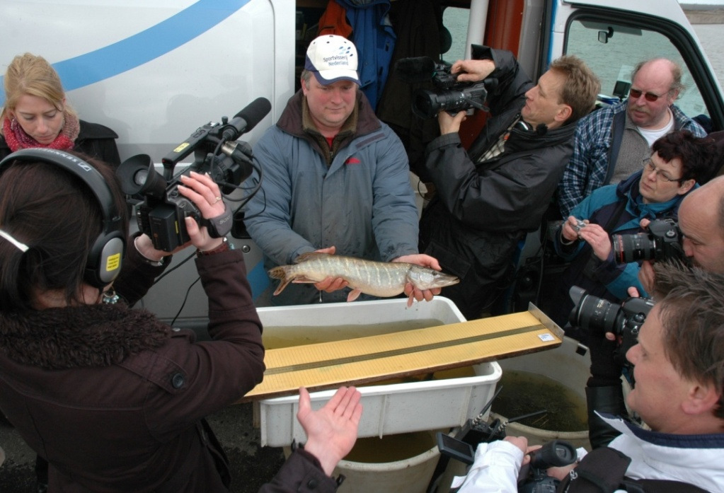 Fryslân aan de slag met vismigratie Actieprogramma voor een