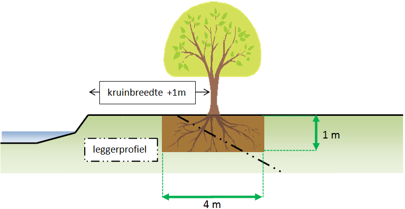 Figuur 11: Voorbeeld boom bij aangeheelde waterkering Figuur 12: Voorbeeld struik bij aangelegde berm Figuur 13: Voorbeeld boom bij natuurlijk verheelde waterkering Toelichting specifieke situatie