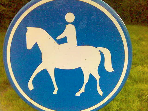 6. Paarden In de gemeente Heerhugowaard is een groot deel van het gebied nog agrarisch/landelijk ingericht. Paarden spelen binnen en vlakbij de gemeentegrenzen een grote rol.