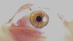 3 De pupil en de iris De pupil ziet er uit als een klein rondje in het midden van het oog, maar is eigenlijk een kleine opening in het midden van de iris.