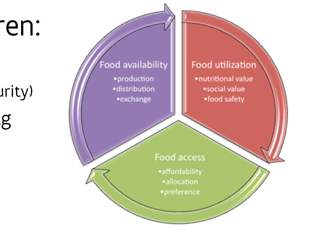 Knelpunten ivm ei consumptie Eieren, functionele eieren: Ontwikkelingslanden: Voedselveiligheid (food security) Consumptie van eieren laag Prijs van func.