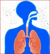 bronchitis Tuberculose Aandoeningen geassocieerd met