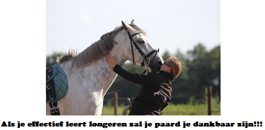 Copyright 2014 - Atletische Rijkunst - Monique de Rijk Pagina 84 Het is wel belangrijk om altijd rekening te houden met het feit dat niet ieder paard de lijn achter zijn billen langs prettig vindt.