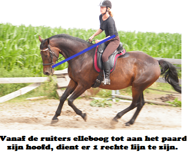 Copyright 2014 - Atletische Rijkunst - Monique de Rijk Pagina 109 DE TEUGELVOERING Laten we om te beginnen eens bekijken wat de teugelvoering is op rechte lijnen is wanneer het paard recht en