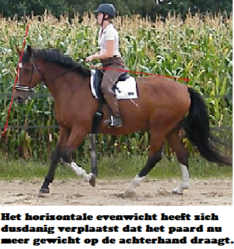 Copyright 2014 - Atletische Rijkunst - Monique de Rijk Pagina 14 Gaan we op een paard rijden, dan zullen we er dus alles aan moeten doen om ervoor te zorgen dat de horizontale scheefheid wordt