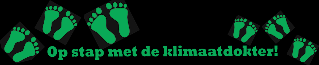 Via de handige fiches bij dit pakket kan de klimaatgids de complexe klimaatproblematiek op een toegankelijke en unieke manier overbrengen aan volwassenen.