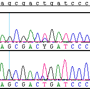 Tabel 47: Overzicht positieve stalen MYD88-gen Patiënt Mutatie Staaltype Diagnose Moleculaire testen (Mutaties) FISH Verwijzing BF21 0608 c.794t>c (p.