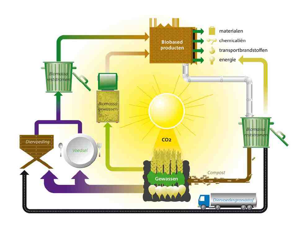 waardoor het gebruik van biomassa plaats kan vinden op die plaatsen waar er de meeste behoefte is aan afzet voor zowel elektriciteit als warmte.