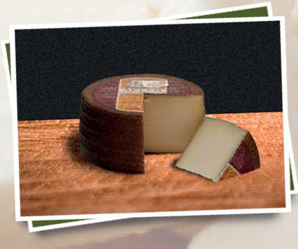 kaasie.nl bent u al onderscheidend met kaas? verse kaas Kaas die geen rijping heeft ondergaan met een frisse smaak. Veelal smeerbaar en zacht van structuur.