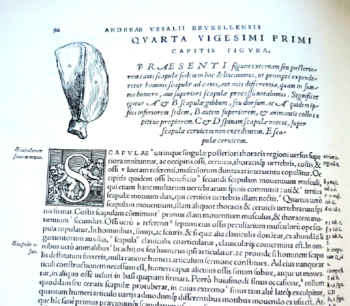 Fabrica Liber Primus uitgegeven in een Nederlandstalig