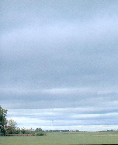 Wolkensoorten Gelaagd (stratus) Opbollend (cumulus)