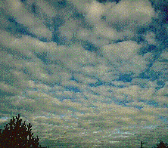 altocumulus M stratus stratocumulus cumulus