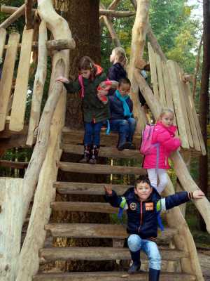 Boswandeling groep 3b Afgelopen periode hebben wij gewerkt over het thema het bos.