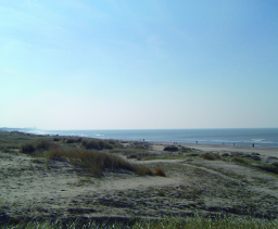 er zoveel zand aangevoerd, dat het strand steeds breder wordt. Opgedroogd zand verzamelt zich achter een pol gras of een stuk drijfhout en stuift op tot kleine duintjes.