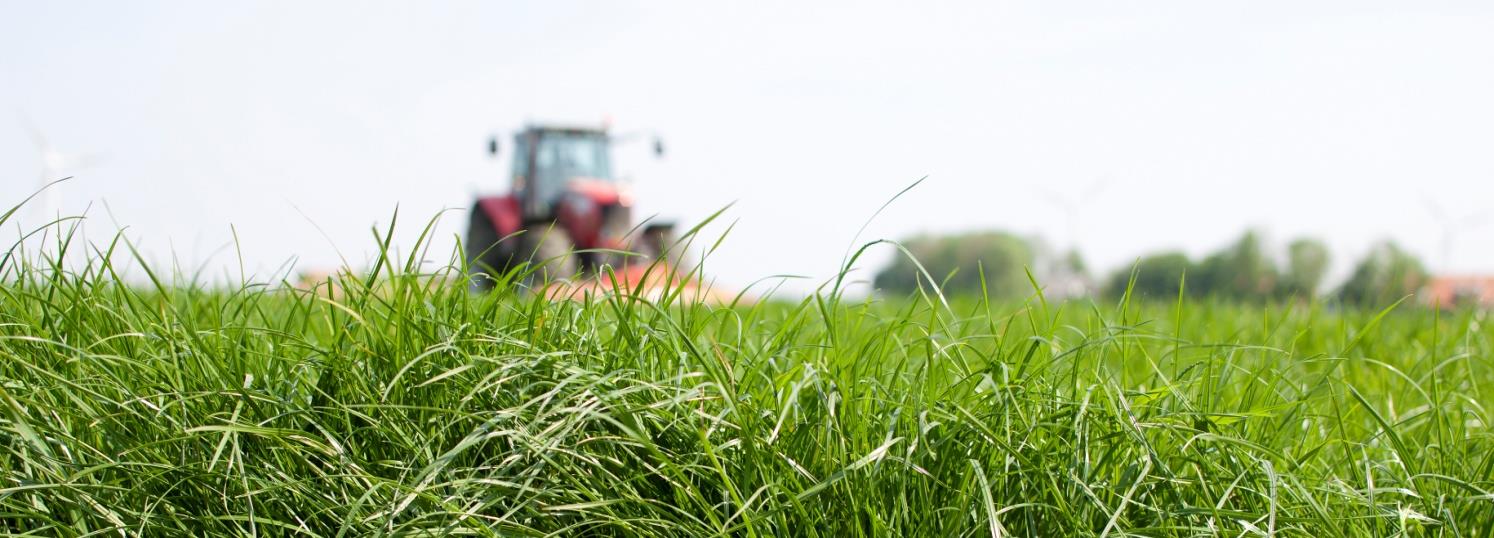 praktijkvoorbeeld Graslandvernieuwing loont! herinzaai Havera na 2 jaar terugverdiend Kosten vernieuwing: 740,- Meeropbrengst vernieuwing: + 3.