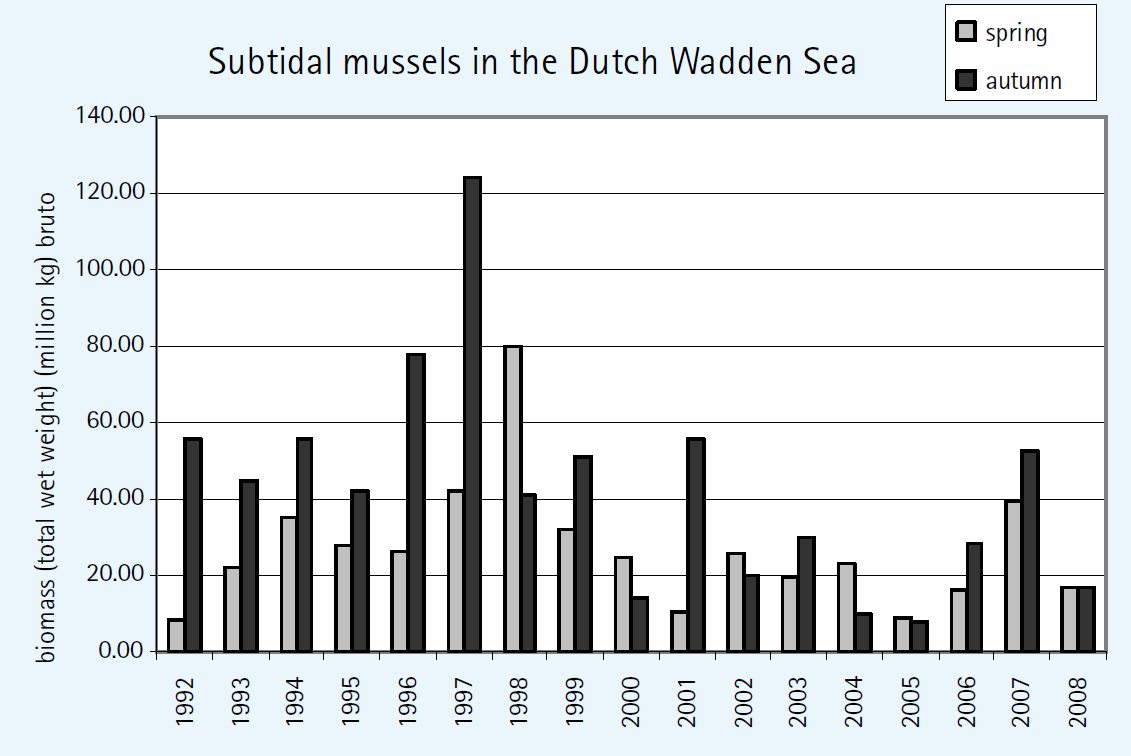 Fig. 3.1 Biomassa, in totaal versgewicht, van sublitorale mosselzaadbedden in de Waddenzee in voor- en najaar (Fey et al, 2008).