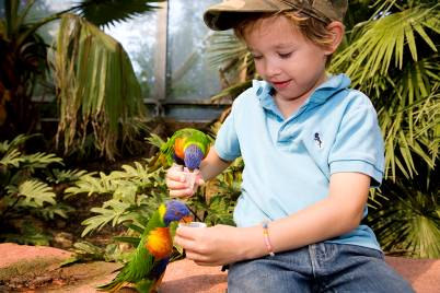 Natuurmonumenten Nieuwkoopse Plassen De Nieuwkoopse Plassen is een prachtig gevarieerd natuurgebied met ontzettend veel interessante mogelijkheden voor kinderen.