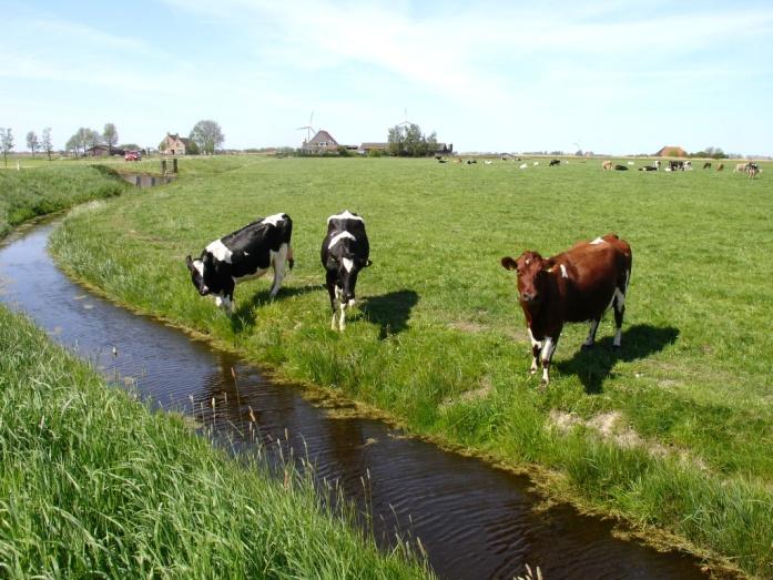 Inleiding Het is zover. De dorpsvisie van Exmorra voor de periode 2013 2025 is klaar.