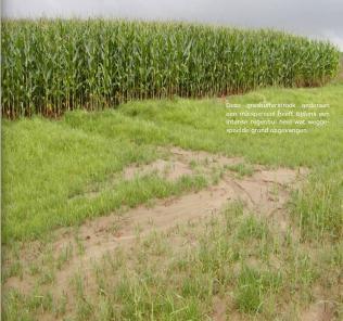 Figuur 46: grasstroken gerangschikt volgens grootte ks-waarde met aanduiding van afstromingsgebied Figuur 47: voorbeeld van sediment dat zich afzet in een grasstrook (Vandaele et al., 2009) 4.3.5.