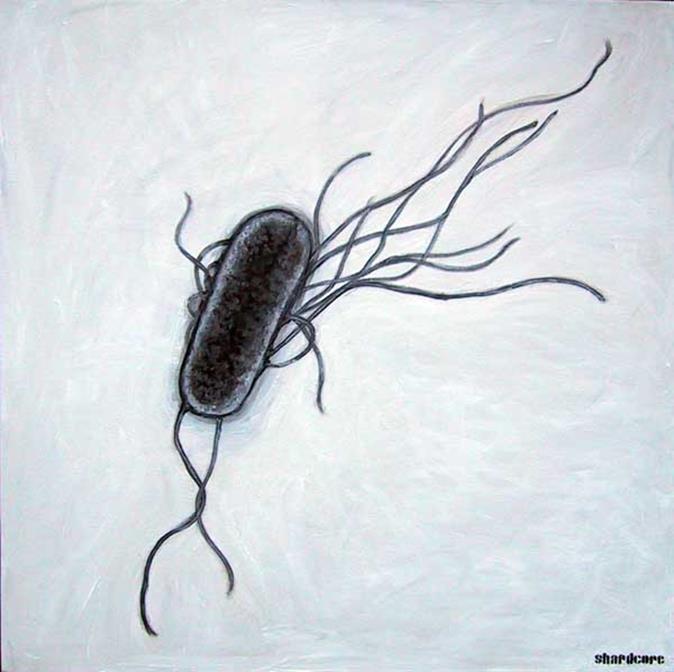 1 - Autovaccins Meestal bacterieel, viraal is in opkomst Voorbeelden van wereldwijd populaire kiemen Gallibacterium anatis E.