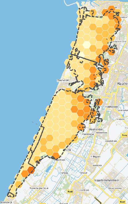 Tussen de huidige situatie en 2030 laat de totale stikstofdepositie in Kennemerland-Zuid, als gevolg van het huidige beleid om de stikstofdepositie terug te dringen, over het algemeen een dalende