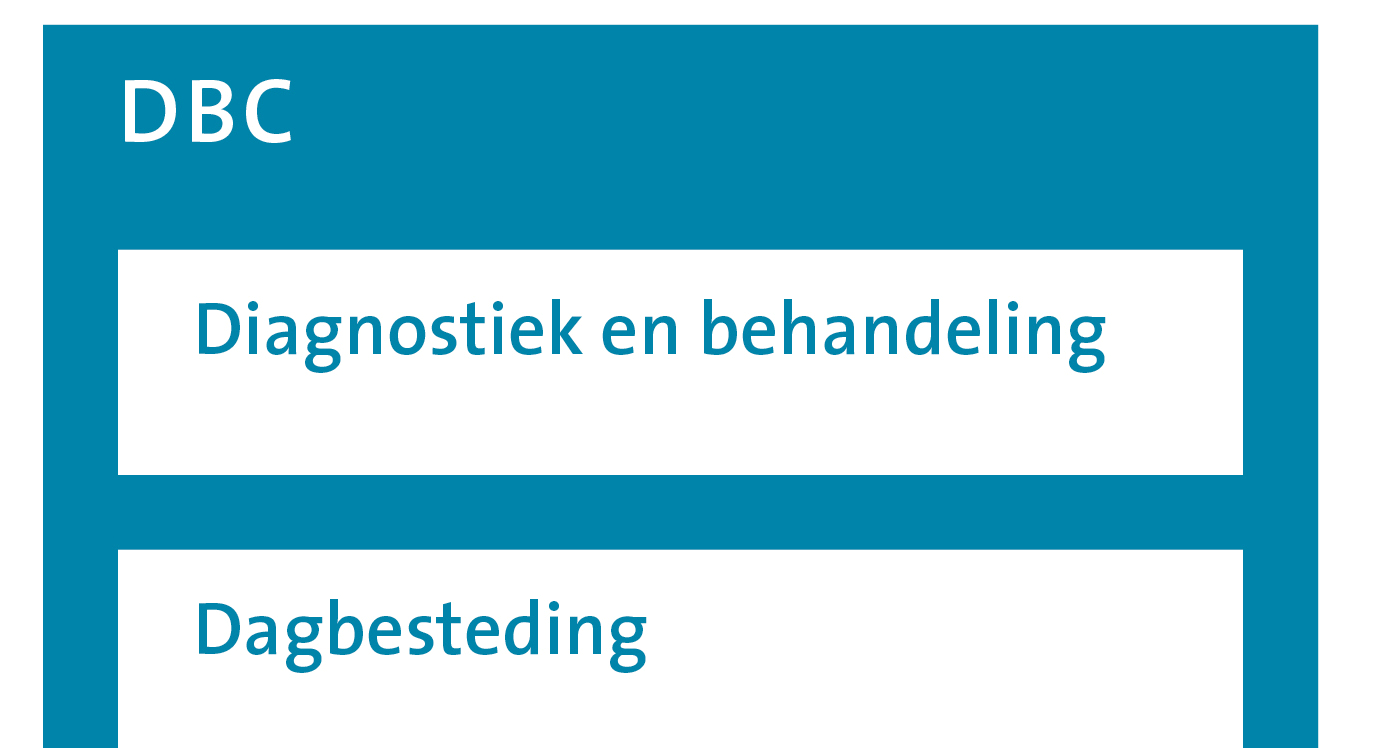 4 Registreren Alle activiteiten die worden uitgevoerd in het kader van de zorg voor een patiënt moeten worden geregistreerd op een DBC.