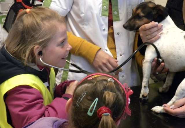 Jaar gan g 9, Edi t i e 1 Eerste Communie 2012: De kindjes uit de Zandkorrel gaan ook dit schooljaar samen met hun vriendjes uit de Vloedlijn hun Eerste Communie doen.