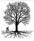 Hoofdstuk: Bijlage 5: Do's en Dont's voor werken bij bomen 26 4. Verstoor de bovengrond niet Handhaaf de bestaande maaiveldhoogte. Binnen de kroonprojectie niets ontgraven.